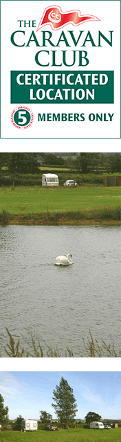Swan on lake at Spillers Farm